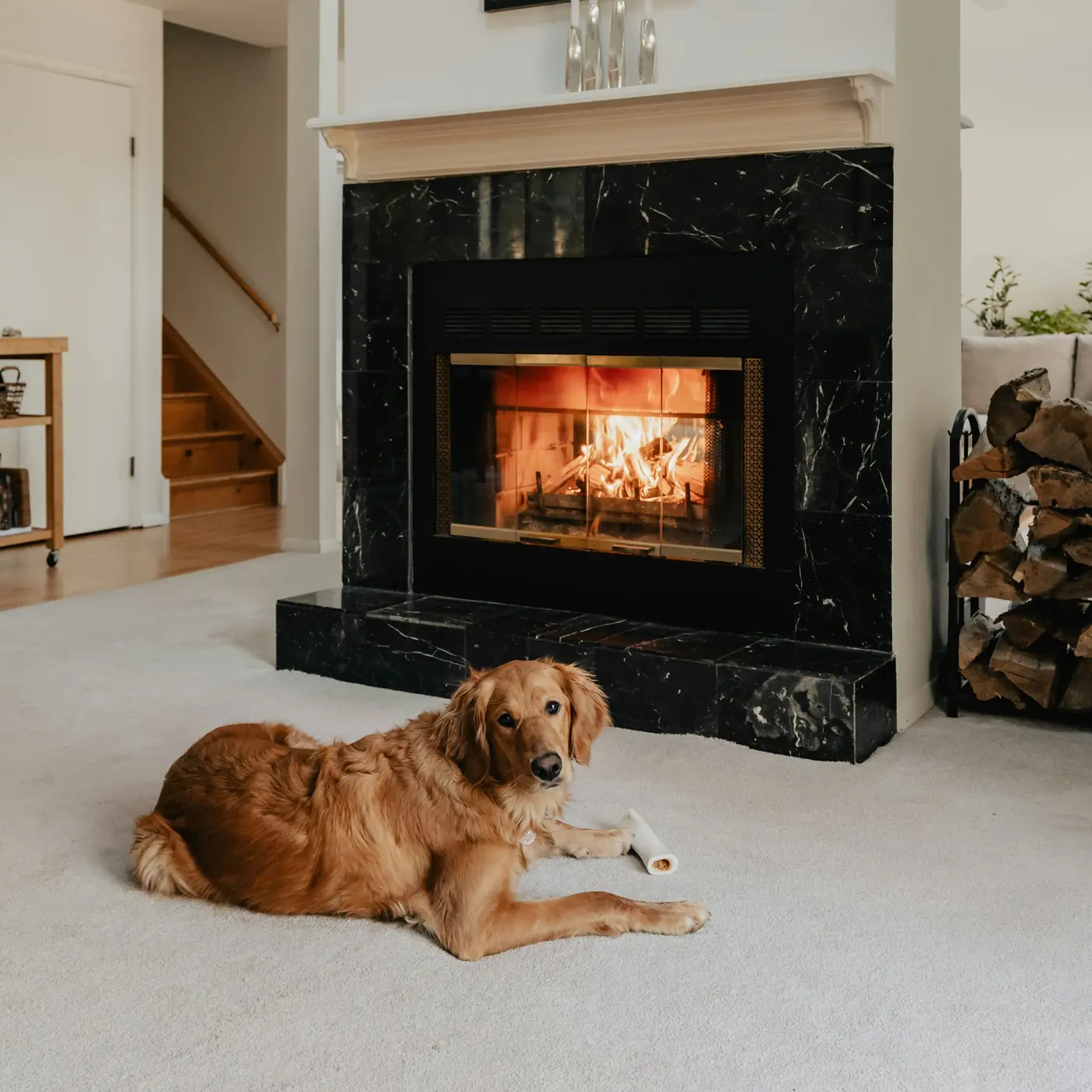 A dog resting on the carpet in front of a lit fireplace